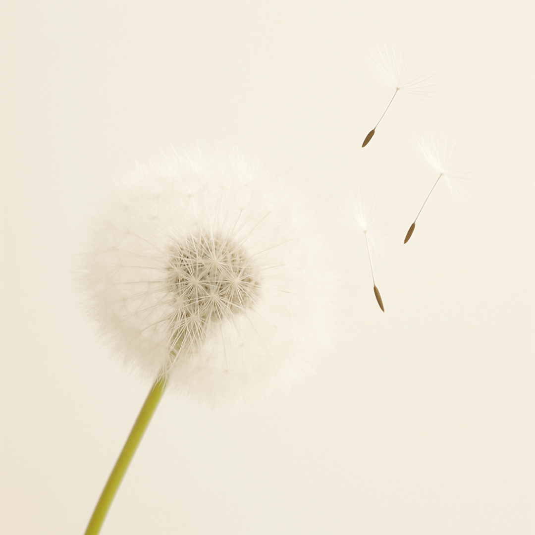 Qu'est-ce que le Centre de la Présence?